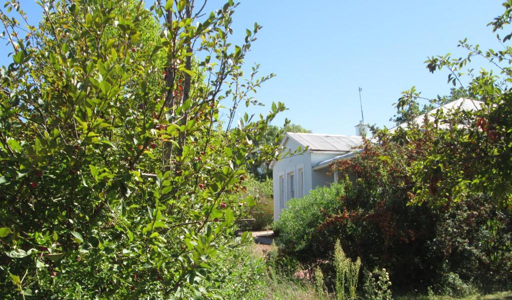 Impangele Swellendam Quarto foto