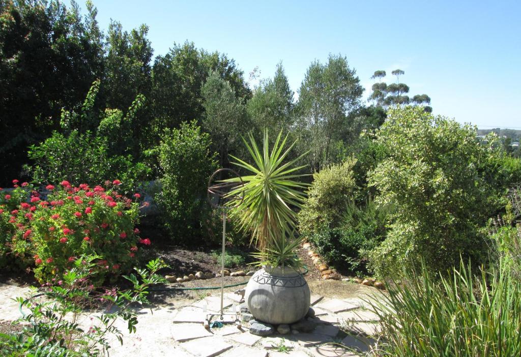 Impangele Swellendam Exterior foto